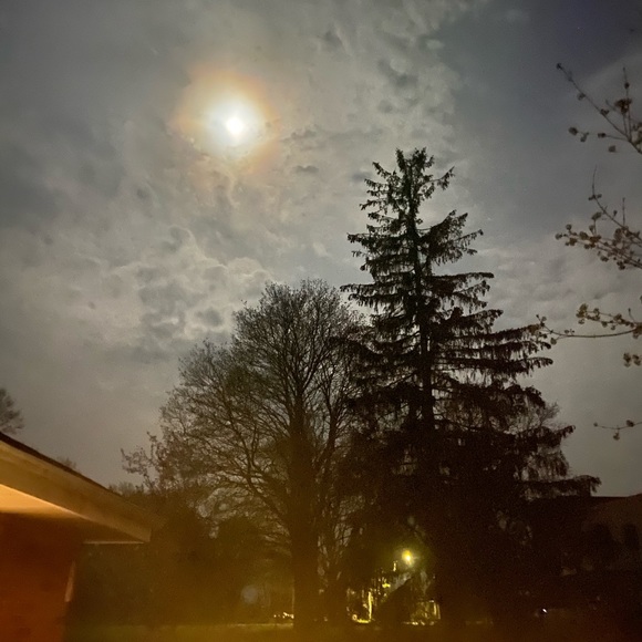 Meet your Posher, Tee - Picture 1 of 1